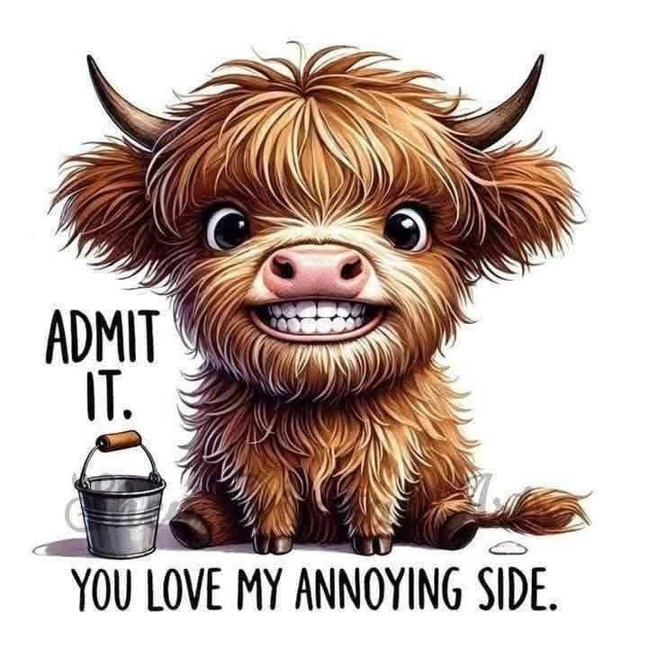 high cows cups
